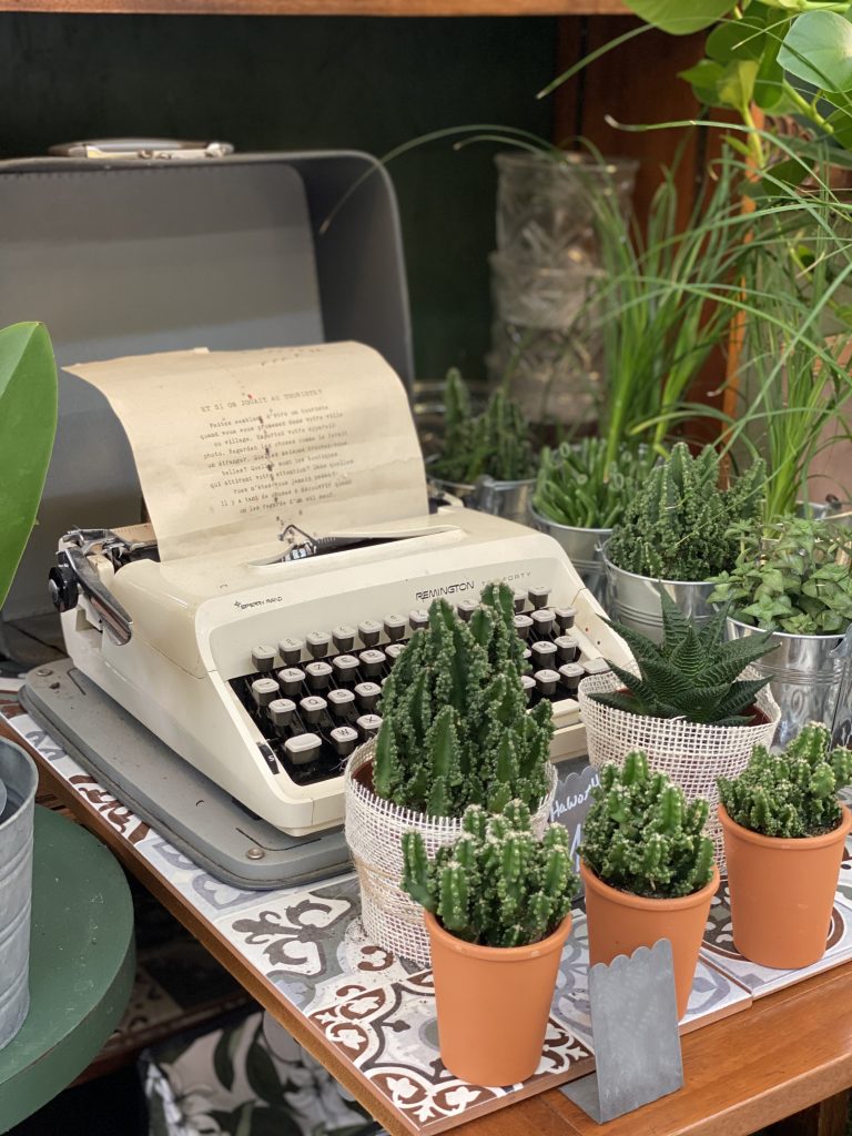 agenda-madameCrobalo-plantes
