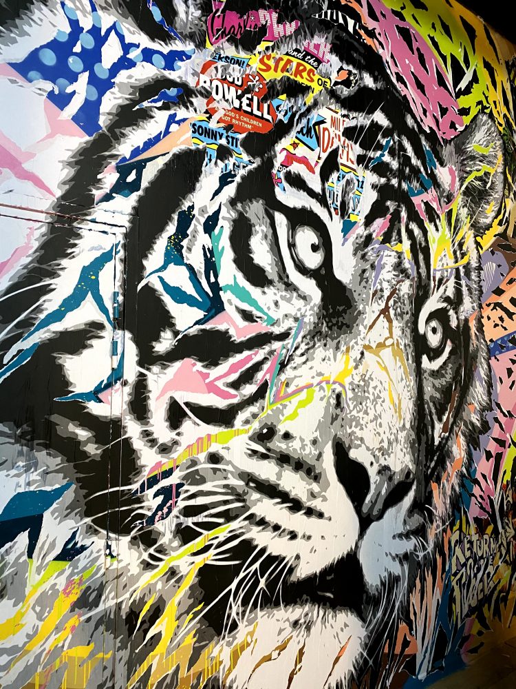 fresque murale : le shack paris ©madamecrobalo